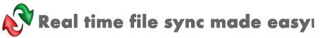Real time file sync made easy